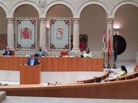 Garrido (PP) pregunta al Gobierno "hasta cuándo" va a seguir echando la culpa al PP