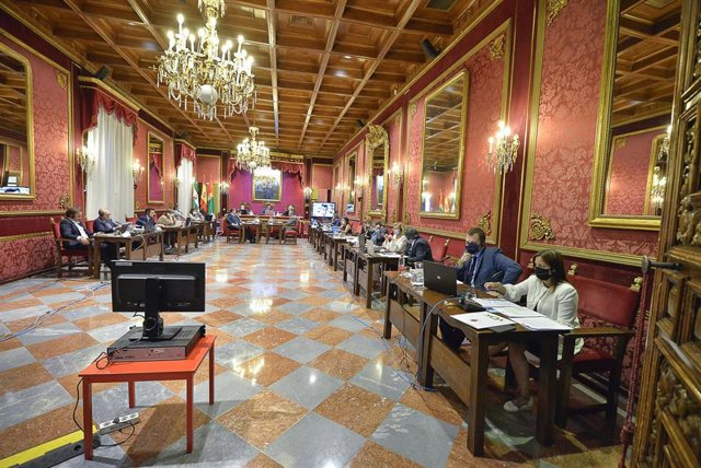 Pleno del Ayuntamiento de Granada, en su reunión ordinaria de junio de 2020