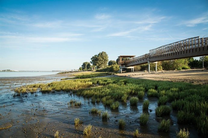 Recuperación margen izquierda del Puerto de Huelva.