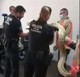 Vídeo de la noticia