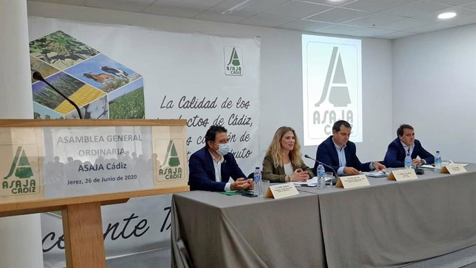 Cádiz.-Coronavirus.- Mestre destaca el apoyo de la Junta al campo con medidas fr