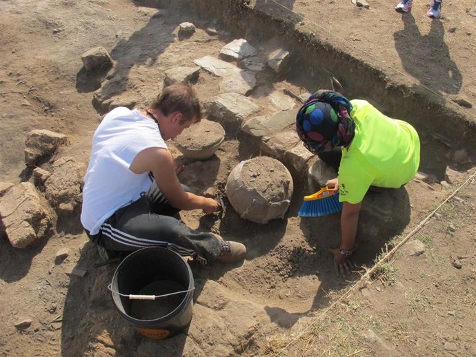 Trabajo en el Cerro Tormejón, en Armuña.
