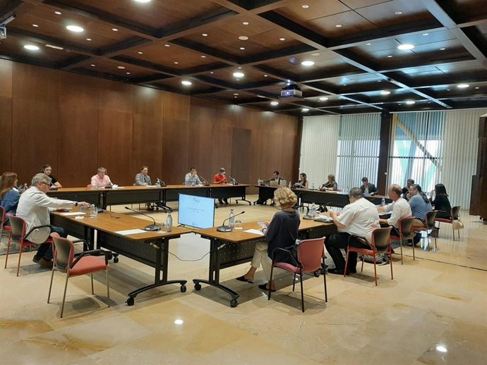 Mesa Técnica  elaboración del Plan Estratégico 2021-2024 de Málaga