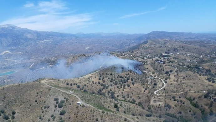 Incendio forestal en La Viñuela