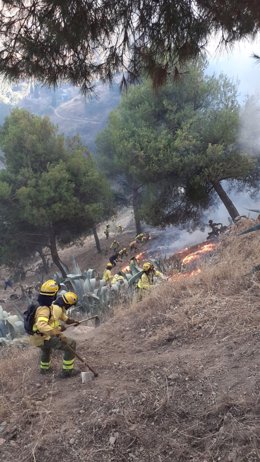 Bomberos del Infoca en el incendio de Sacromonte