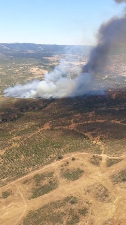 Incendio declarado en el paraje Finca de Santa Catalina, en Cabezas Rubias