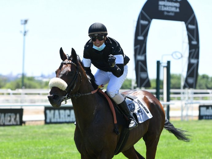 Céfiro tras su triunfo en el Premio Asociación de Hipódromos de España