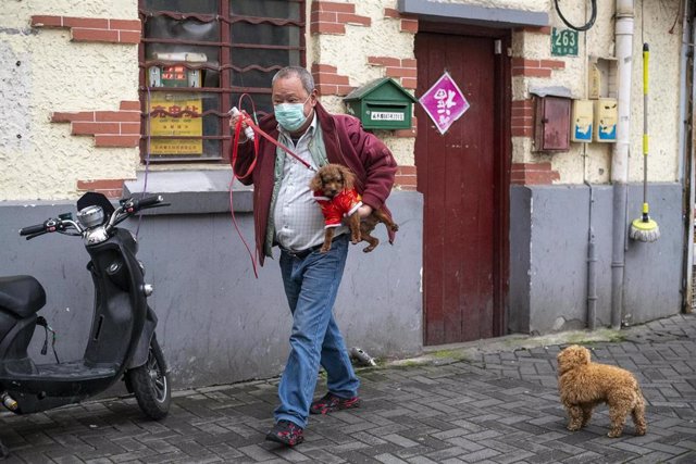 Una persona pasea a sus perros en Shanghái.