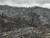 Controlado el incendio forestal de Sierra de Lújar en Vélez de Benaudalla (Granada)