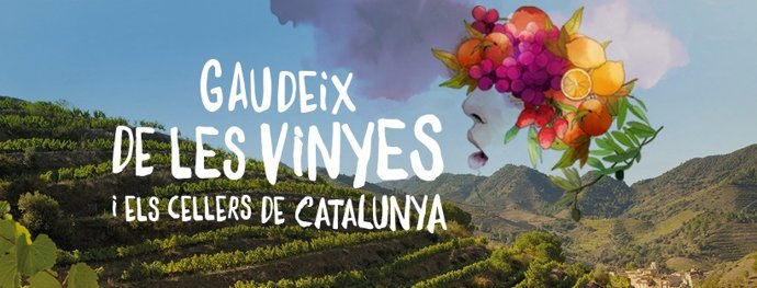 Agro.- El Govern lanza una campaña para promover el enoturismo en Catalunya