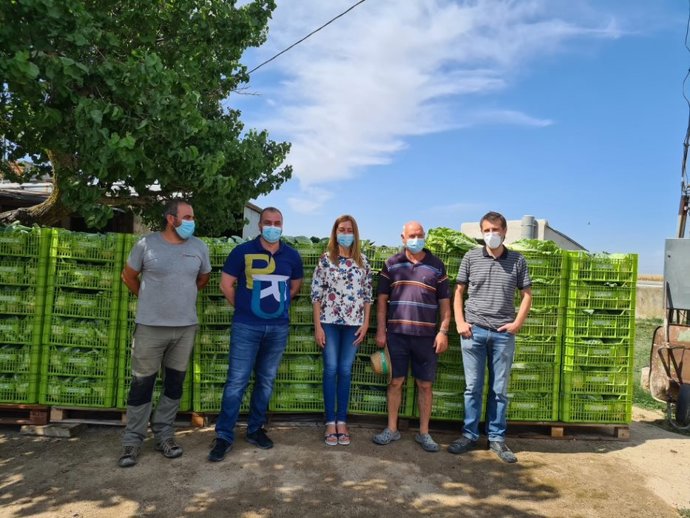 La 'Huerta Experimental' que el Ayuntamiento de Fuenlabrada habilitó en el Parque Agrario ha donado 60.000 kilos de alimentos a familias vulnerables desde 2017.