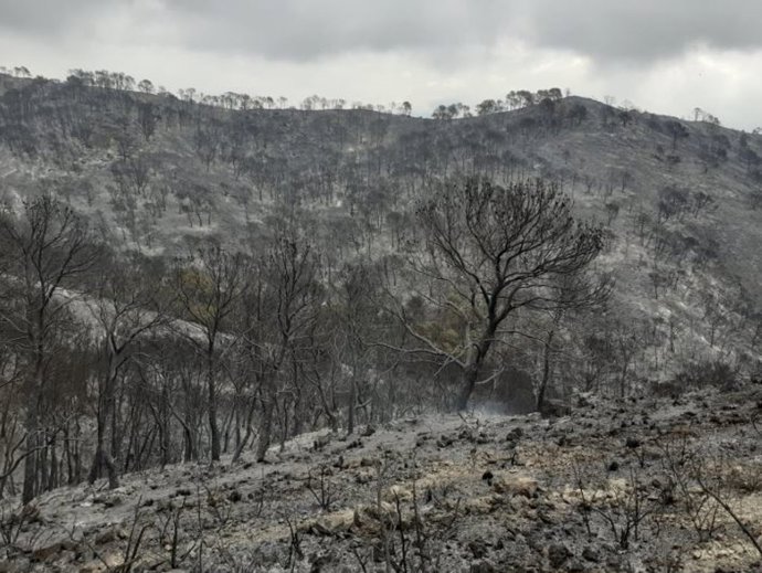 Controlado el incendio forestal de Vélez de Benaudalla (Granada)