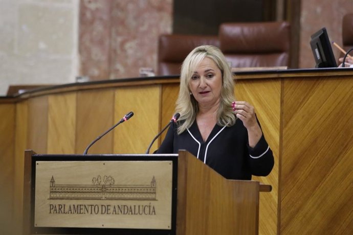 La diputada autonómica de Ciudadanos (Cs) por Sevilla Ana Llopis, en una foto de archivo en el Pleno del Parlamento andaluz.
