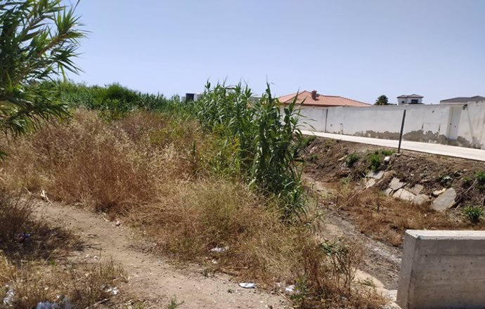 Cádiz.- La Junta limpiará este martes el cauce del arroyo Cañada Honda de La Lín