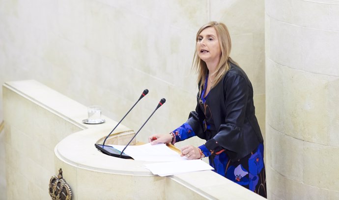 La portavoz y secretaria de Organización del PSOE en Cantabria, Noelia Cobo, interviene durante la sesión plenaria del Parlamento de Cantabria para la aprobación de los Presupuestos de 2020, en Santander (España), a 19 de diciembre de 2019.
