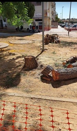 Tala criticada por el grupo de Adelante Mairena