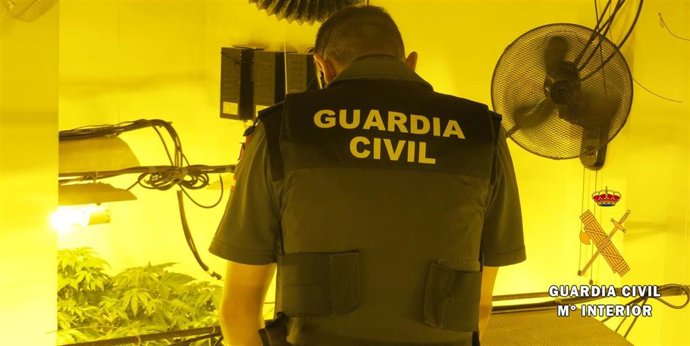 Un agente de la Guardia Civil en una plantación de marihuana