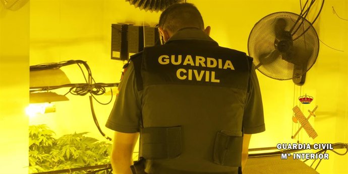 Almería.- Sucesos.- Dos detenidos acusados de cultivar 379 plantas de marihuana 