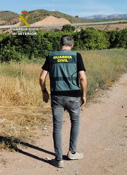 Un agente de la Guardia Civil recorre los campos de cítricos sustraídos