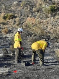 La "mala manipulación" de unas colmenas, posible origen del incendio de Sierra Cabrera en Almería