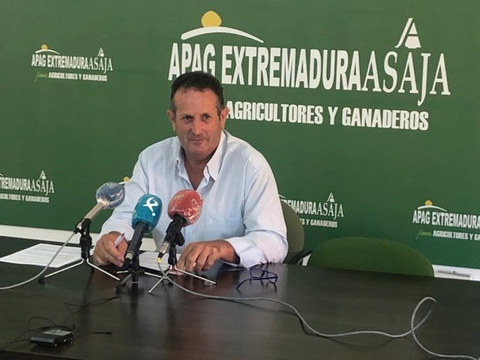APAG Extremadura Asaja califica la próxima cosecha de aceitunas como "la peor de