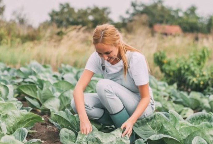 Plataforma Mañana, de innovación social y transformación coorganizada por Ifema