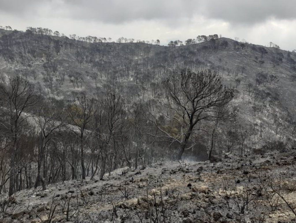 El incendio de Vélez de Benaudalla (Granada) calcina 6,2 hectáreas de