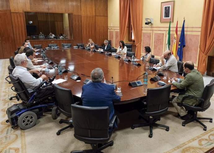 La presidenta del Parlamento de Andalucía, Marta Bosquet, reunida con colectivos del Tercer Sector