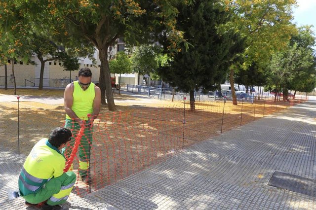 Operarios en la calle Hermanas Mirabal