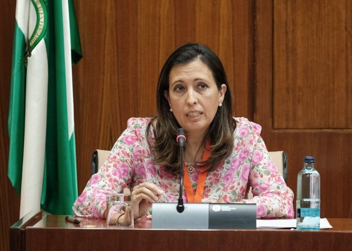 La presidenta de Ceacop, Ana Chocano, durante su comparecencia en la Subcomisión de Reactivación Económica del Parlamento de Andalucía.