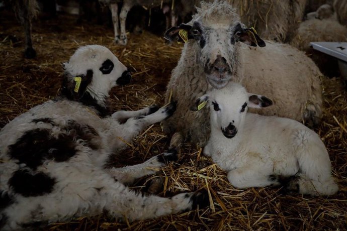 El Gobierno aprueba distribuir 435.388 euros a la Región de Murcia en apoyo a lo