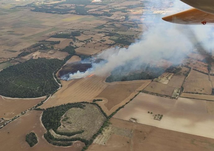 Vista aérea de un conato de incendio en zona forestal en Es Pagos, Porreres, este junio.
