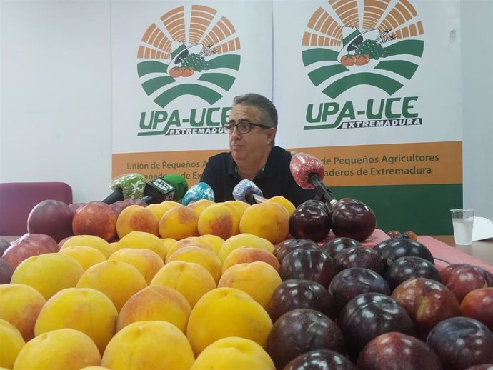 Ignacio Huertas informa en rueda de prensa sobre la campaña de la fruta.