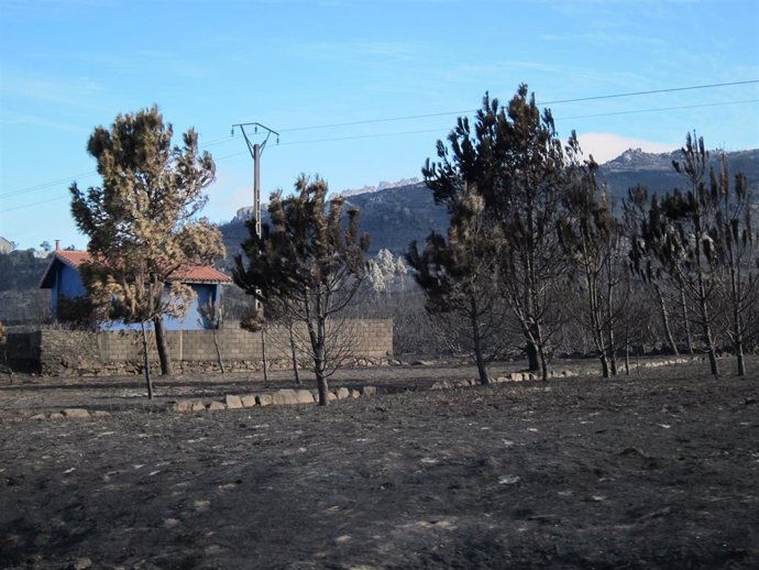 Monte Pindo, en Carnota (A Coruña), tras un incendio