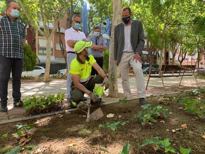 El concejal de Desarrollo Urbano y Modernización de la Administración, José Guillén, supervisa los parterres de la avenida Duques de Lugo