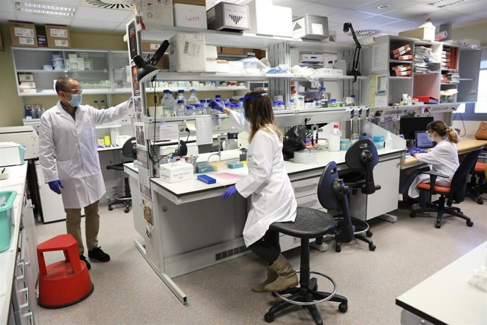 Dos biólogos del Centro de Biología Molecular Severo Ochoa en el Campus de Cantoblanco de la Universidad Autónoma hablan en un laboratorio de las instalaciones.