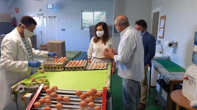 Visita a la Granja San Nicolás