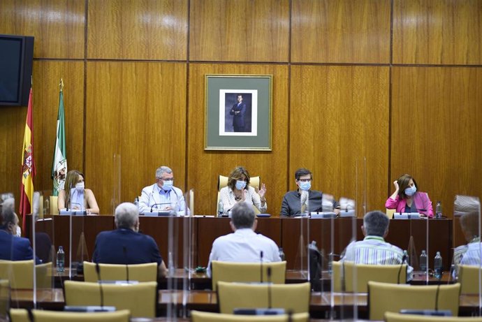 Susana Díaz reunida en el Parlamento con los cinco sindicatos que forman parte de la Mesa Sectorial de Salud de Andalucía: CCOO, UGT, CSIF, SMA y Satse