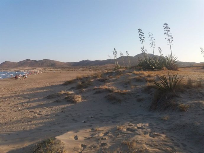 Imagen de la playa de Genoveses, en el parque natural de Cabo de Gata