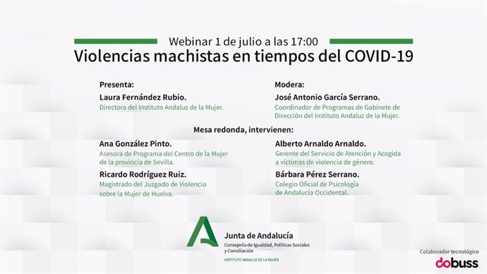 Imagen del seminario online organizado por el Instituto Andaluz de la Mujer sobre 'Violencias machistas en tiempos del Covid-19'.