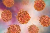 Foto: Investigadores logran aumentar la sensibilidad de las células cancerosas al tratamiento quimioterapéutico