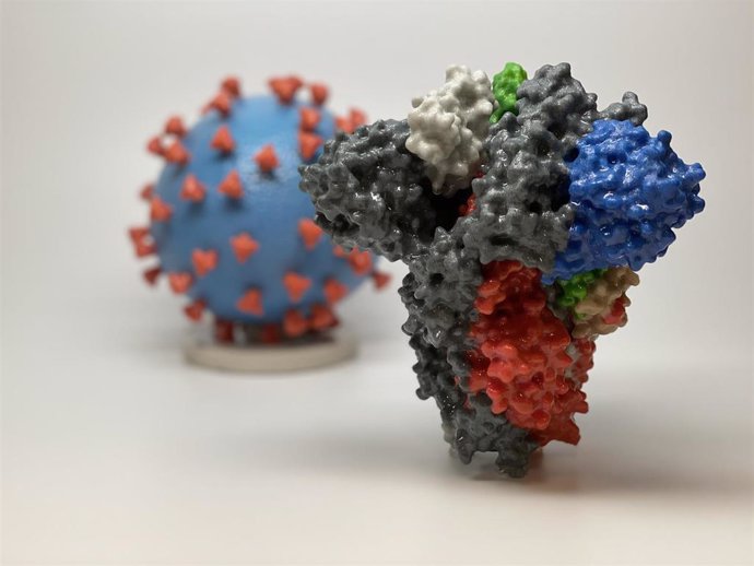 En segundo plano, representación tridimensional del Instituto estadounidense de Alergia y Enfermedades Infecciosas (NIAID) que muestra el SARS-CoV-2, también conocido como 2019-nCoV, el virus que causa COVID-19