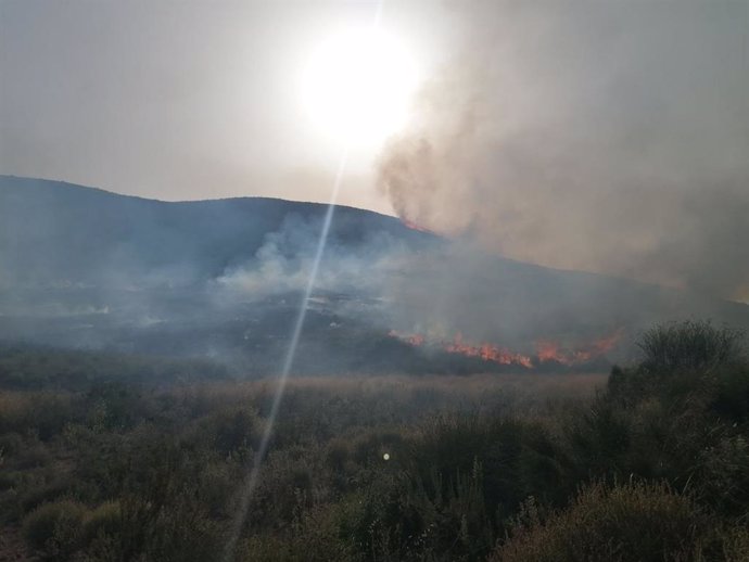 Servicios de emergencia trabajan en la extinción de un incendio en Fuente Álamo