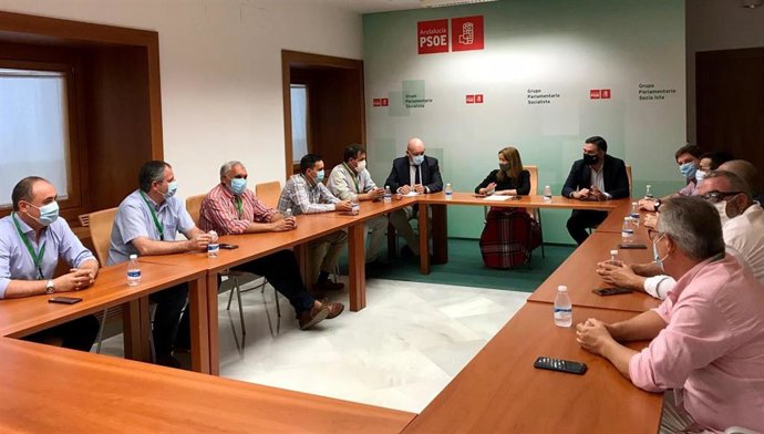 La secretaria general del PSOE de Sevilla, Verónica Pérez, y el vicesecretario general, Javier Fernández, mantienen un encuentro con alcaldes de nueve municipios de Sierra Morena, La Vega y el Corredor de la Plata
