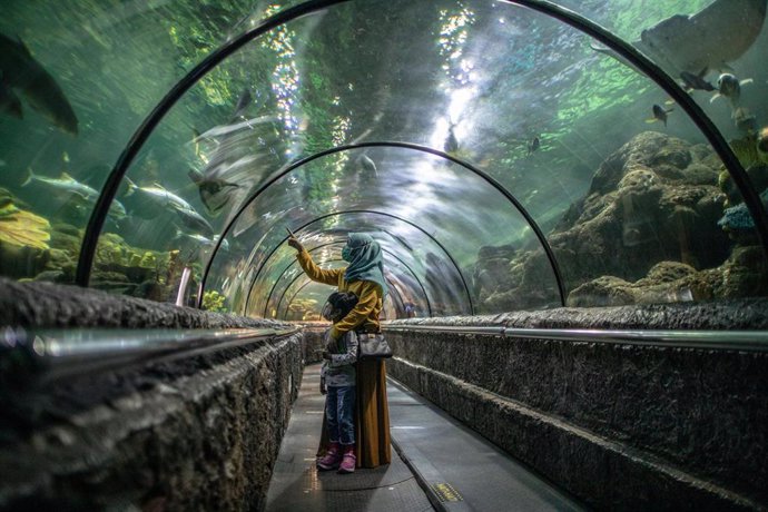 Una mujer visita un acuario en Yakarta