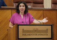 El Parlamento andaluz rechaza reconocer a petición del PSOE-A el "esfuerzo" del Gobierno ante la crisis del Covid-19