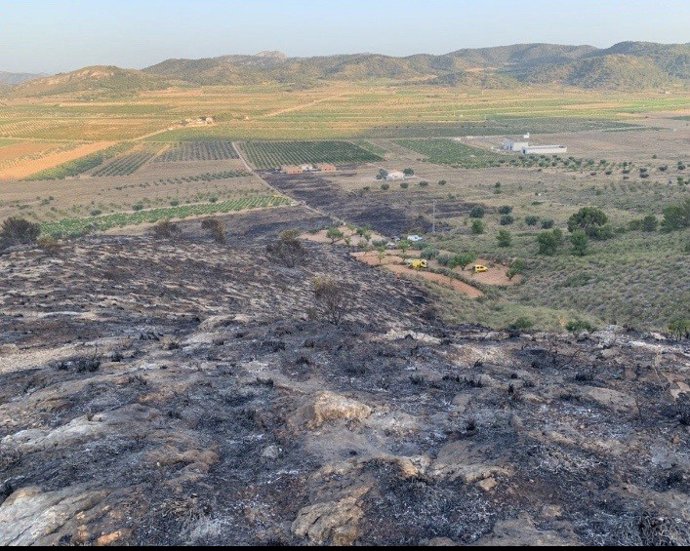 Foto de uno de los incendios cedida por la Dirección General del Medio Natural