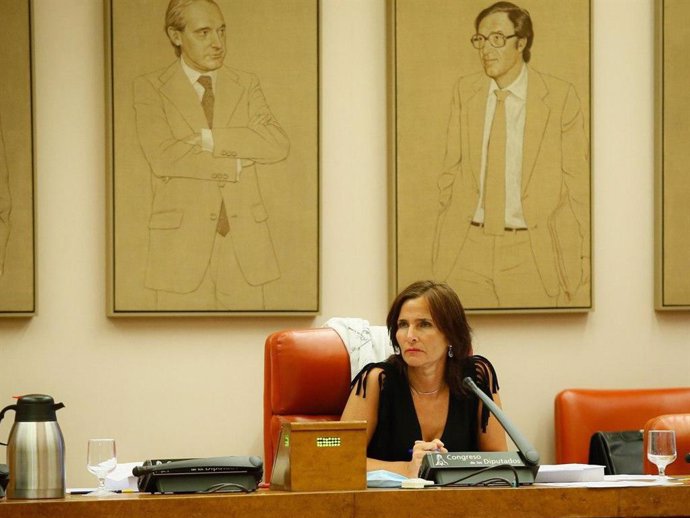 La coordinadora del grupo de reactivación económica de la Comisión del Congreso para la reconstrucción, Luz Martínez-Seijo