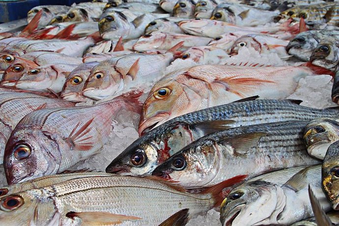 El sector pesquero ve alejadas las perspectivas de una recuperación a corto plazo