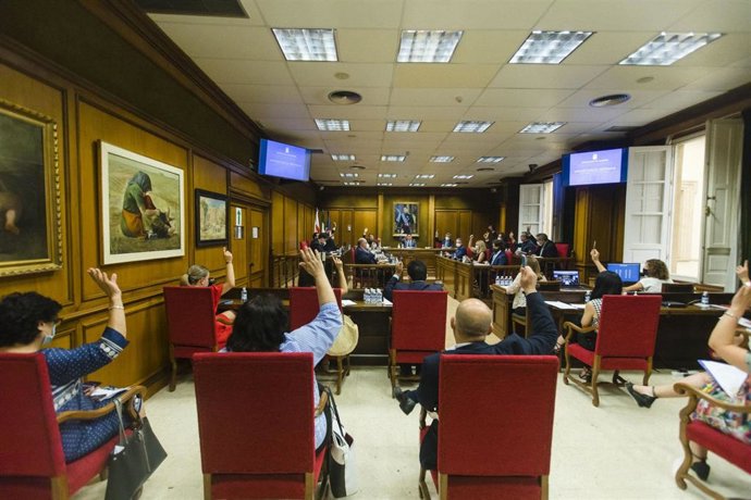 Pleno de la Diputación de Almería